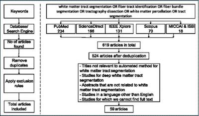 A systematic review of automated methods to perform white matter tract segmentation